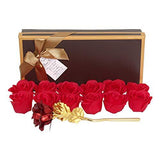 Load image into Gallery viewer, Webelkart Artificial Rose And Roses (Red, 1 Rose, 12 Rose Soap)