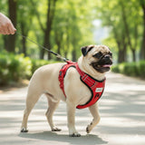 Load image into Gallery viewer, Webelkart Premium Red Reflective Dog Vest Harness, Soft Breathable, Padded Handle, Adjustable Straps, No Pull, Red, Chest 22-28 inch, for Small Breeds 4-13Kg