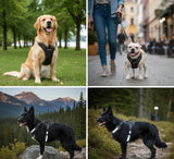 Load image into Gallery viewer, Webelkart Premium Reflective Dog Vest Harness, Soft Breathable, Padded Handle, Adjustable Straps, No Pull, No-Choke, Chest 22-28 inch, for Small Breeds 4-13Kg