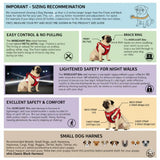 Load image into Gallery viewer, Webelkart Premium Red Reflective Dog Vest Harness, Soft Breathable, Padded Handle, Adjustable Straps, No Pull, Red, Chest 22-28 inch, for Small Breeds 4-13Kg