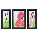 Load image into Gallery viewer, JaipurCrafts Lord Ganesha Set of 3 Large Framed UV Digital Reprint Painting (Wood, Synthetic, 36 cm x 61 cm) Flowers 3