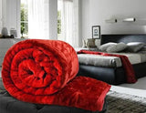 Load image into Gallery viewer, Webelkart® Premium Super Soft Microfibre Winter Heavy 2.50 KG Quilt (Razai)/ Mink Blanket with Free Carry Bag- Double Bed (Red)
