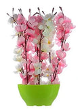 Load image into Gallery viewer, JaipurCrafts Premium Forever Collection Artificial Flowers with Pot