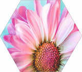 Load image into Gallery viewer, Webelkart Set Of 3 Flowers Art Wooden Wall Hanger for Home Decor | Office | Gift | Bedroom | Living Room | Home Decoration | Wall Hanging Decorative Item | Artwork Canvas Paintings
