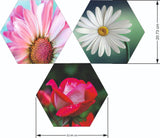Load image into Gallery viewer, Webelkart Set Of 3 Flowers Art Wooden Wall Hanger for Home Decor | Office | Gift | Bedroom | Living Room | Home Decoration | Wall Hanging Decorative Item | Artwork Canvas Paintings